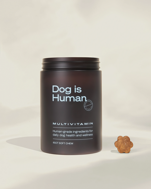 Dog is Human DM-01 Daily Multivitamin